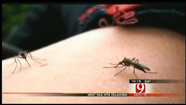 Oklahoma Health Department Warns Of Rise In West Nile Cases