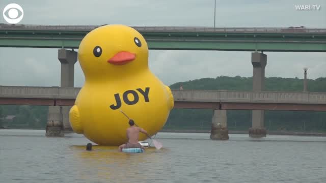 WATCH: Giant Rubber Duck Floats In Maine Harbor