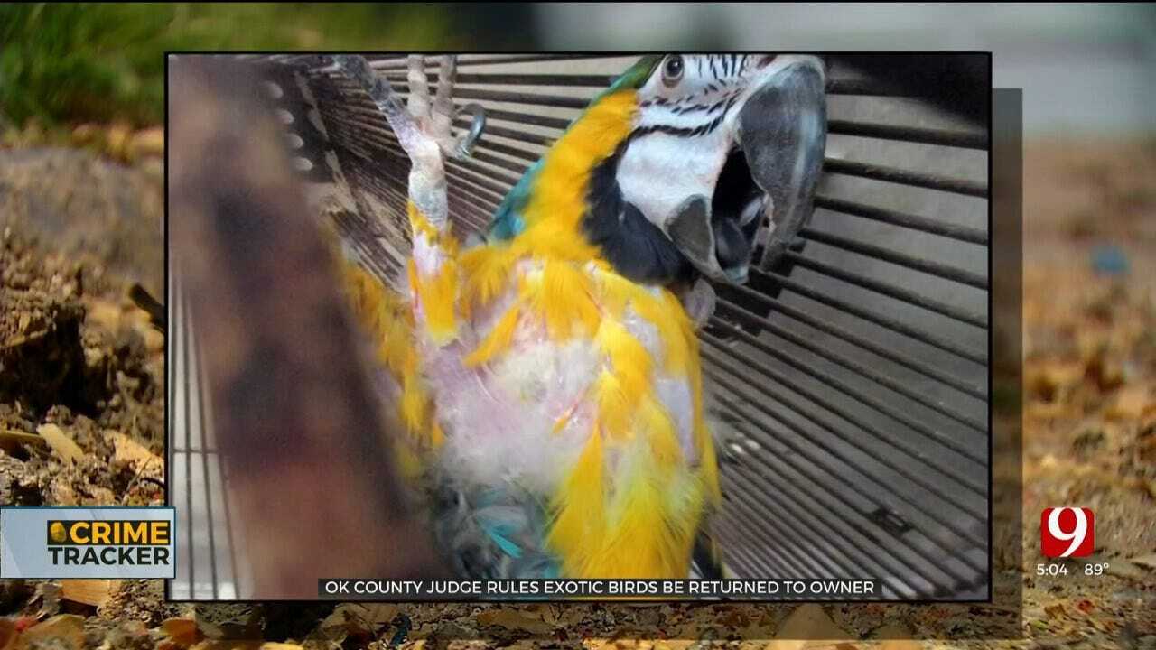 Charges Dropped In NW OKC Exotic Birds Seizure Case