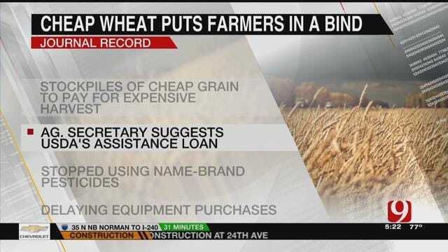 AG REPORT: Farmers Face Decrease In Wheat Prices