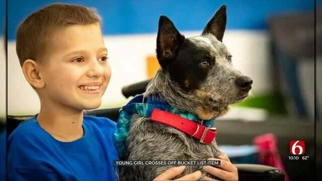 Young Girl Battling Cancer Competes In Broken Arrow Canine Agility Event