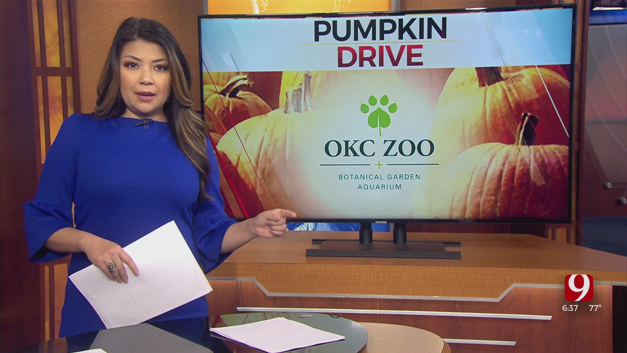 OKC Zoo's Annual Pumpkin Drive Offering Free Entry 