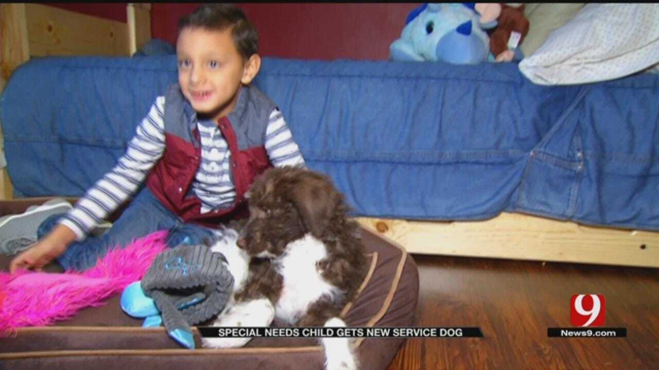 Special Needs Child Gets New Service Dog