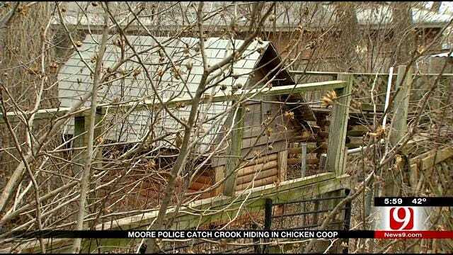 Moore Police Caught Crook Hiding In A Chicken Coop