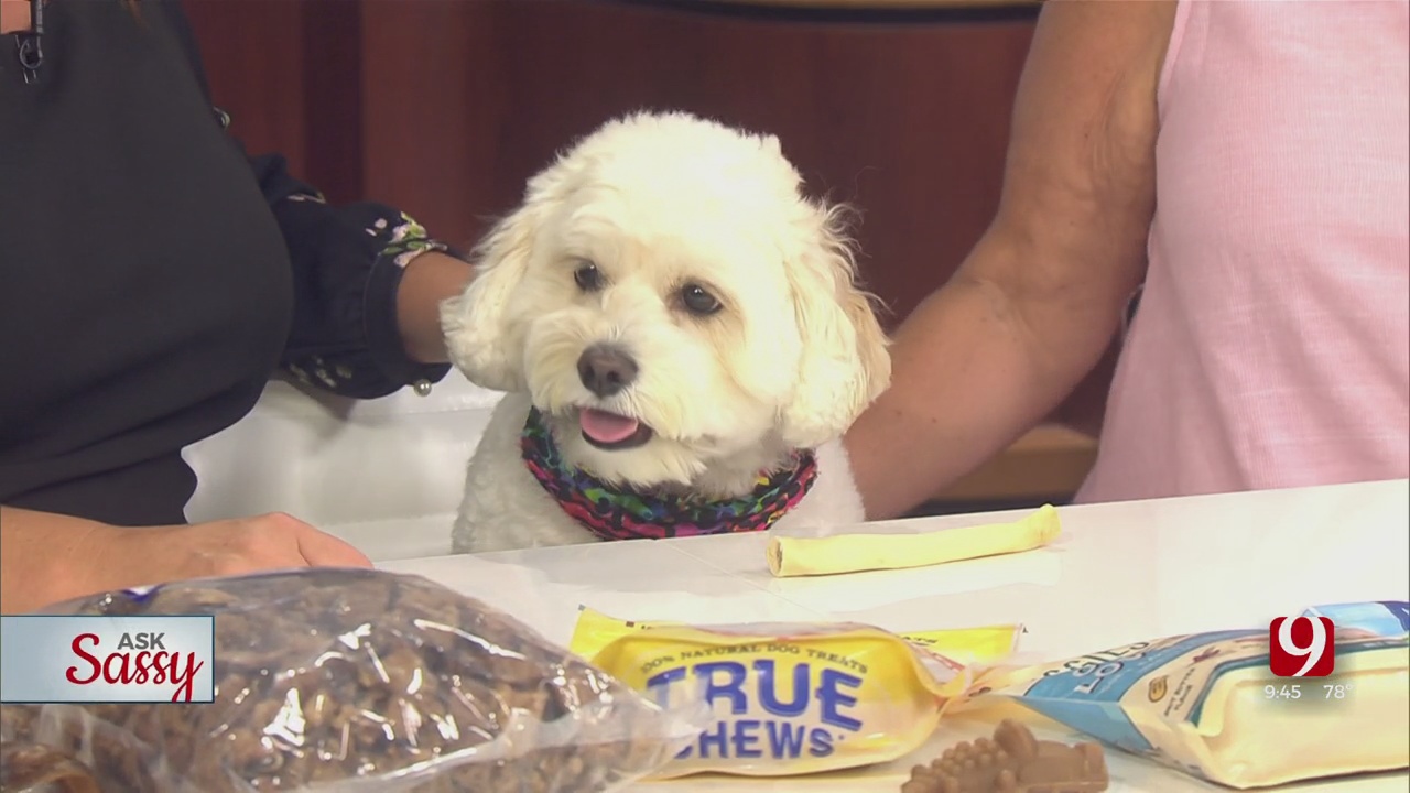 Ask Sassy: Healthy Treats For Your Dogs