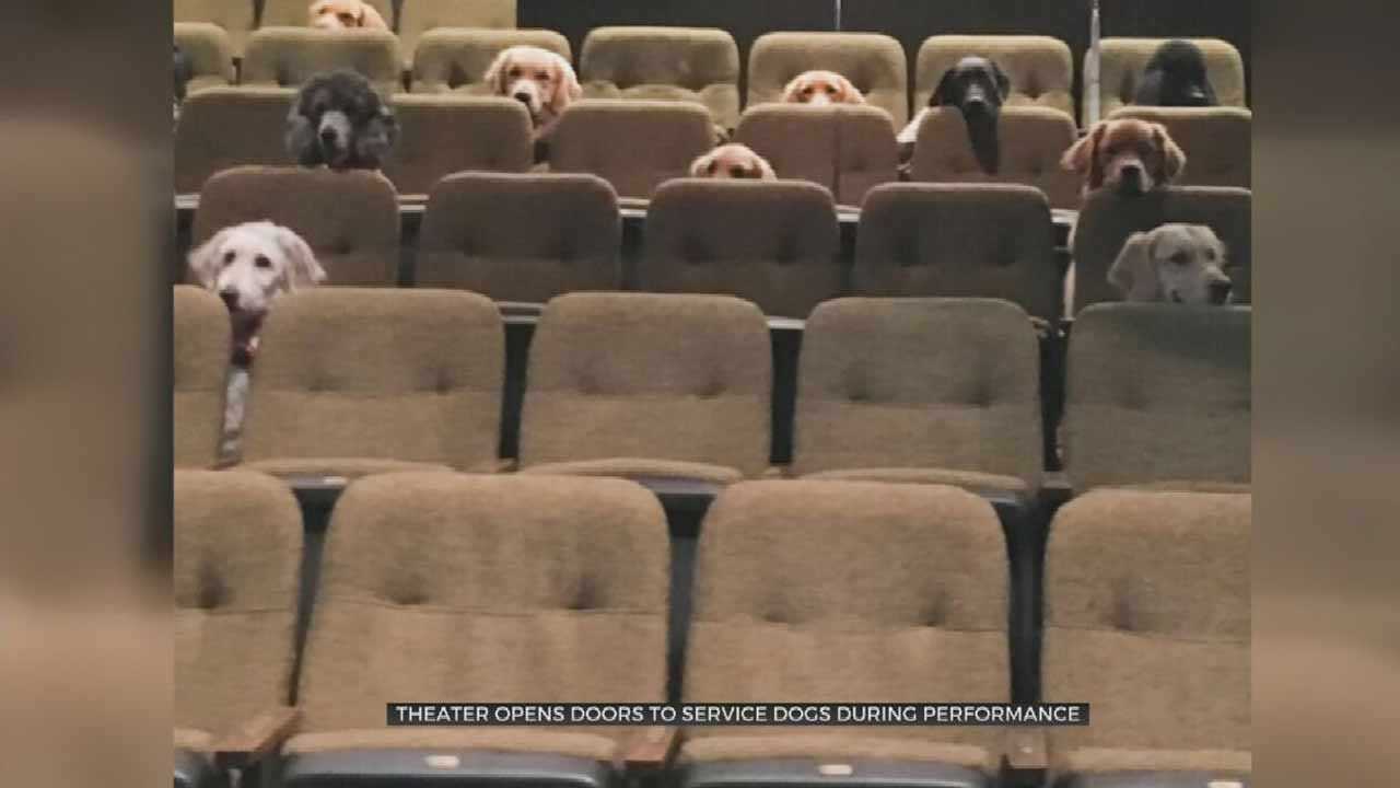WATCH: Service Dogs Enjoy Day At The Theater