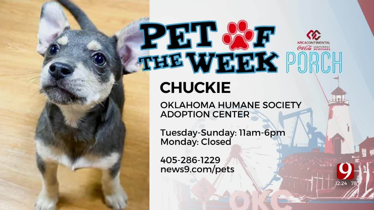 Pet Of The Week: Chuckie