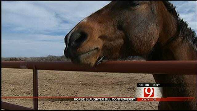 Debate Heats Up On Controversial Oklahoma Horse Slaughter Bill