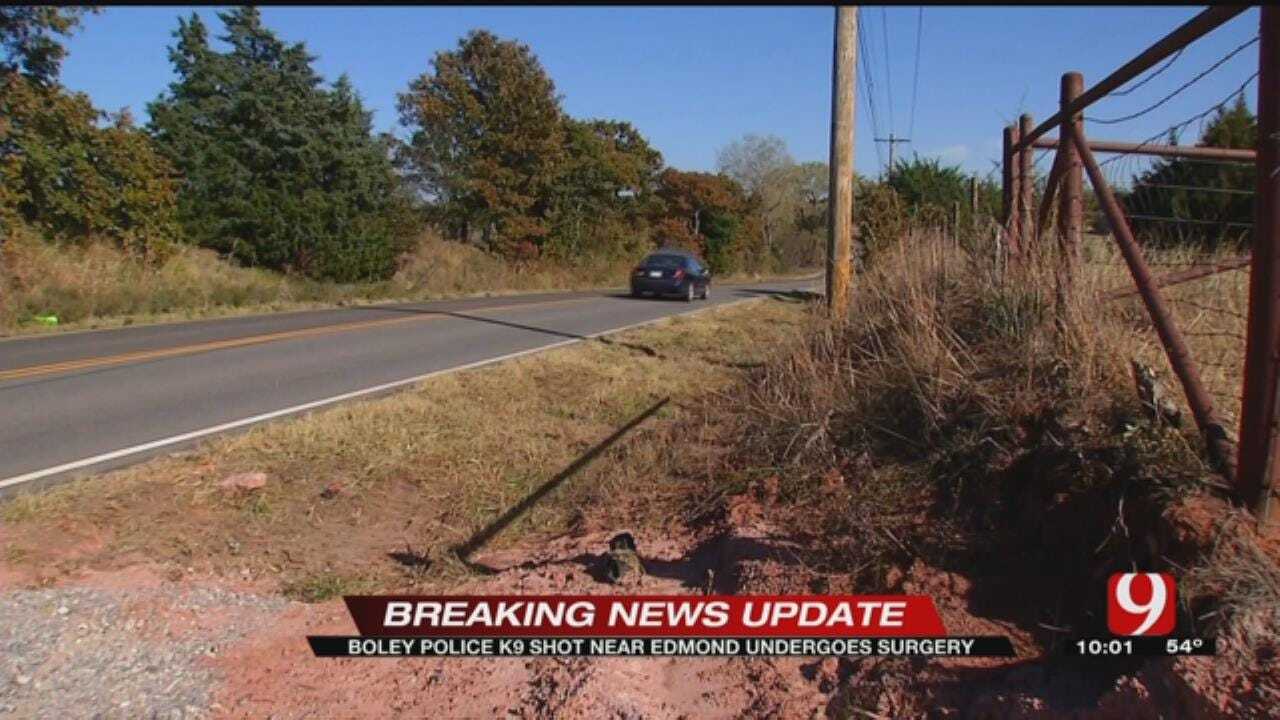 Police Investigating After K9 Officer Shot Near Edmond