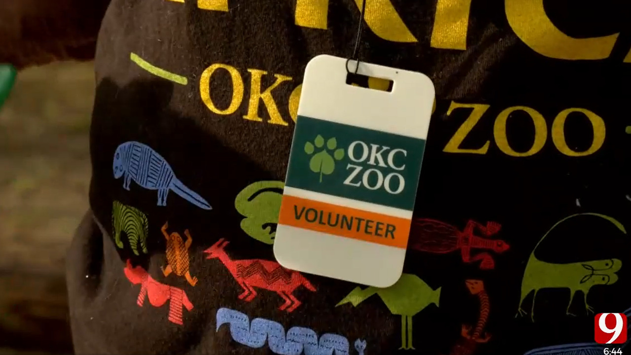 Oklahoma City Zoo Looking For Volunteers Ahead Of Spring Break