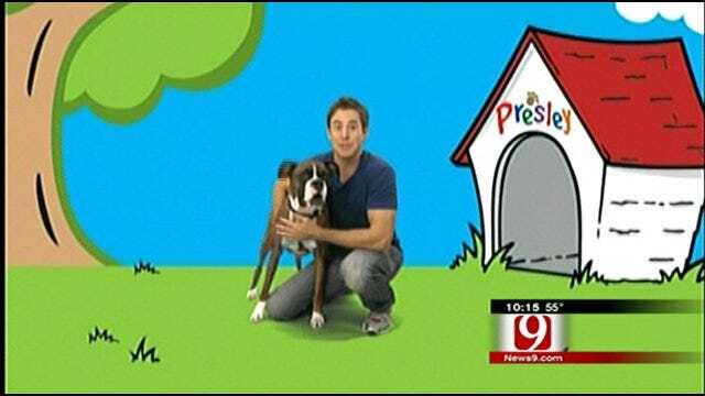 Manners Class Is Blue's Clues With Sooner Twist