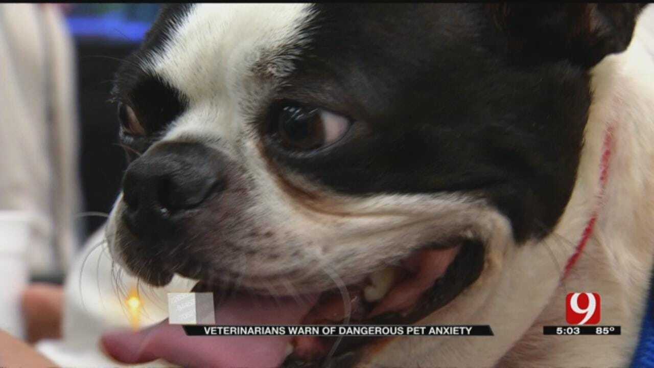 Independence Day Can Prove Dangerous For Oklahoma Pets