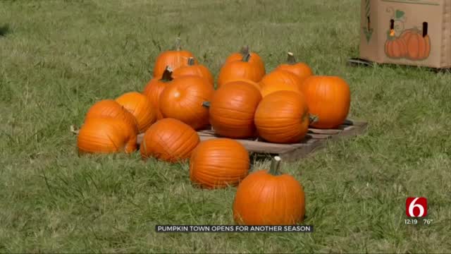 Pumpkin Town Farms Opens For The Fall Season