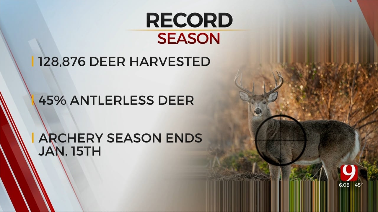 Oklahoma On Pace For All-Time Record Deer Harvest