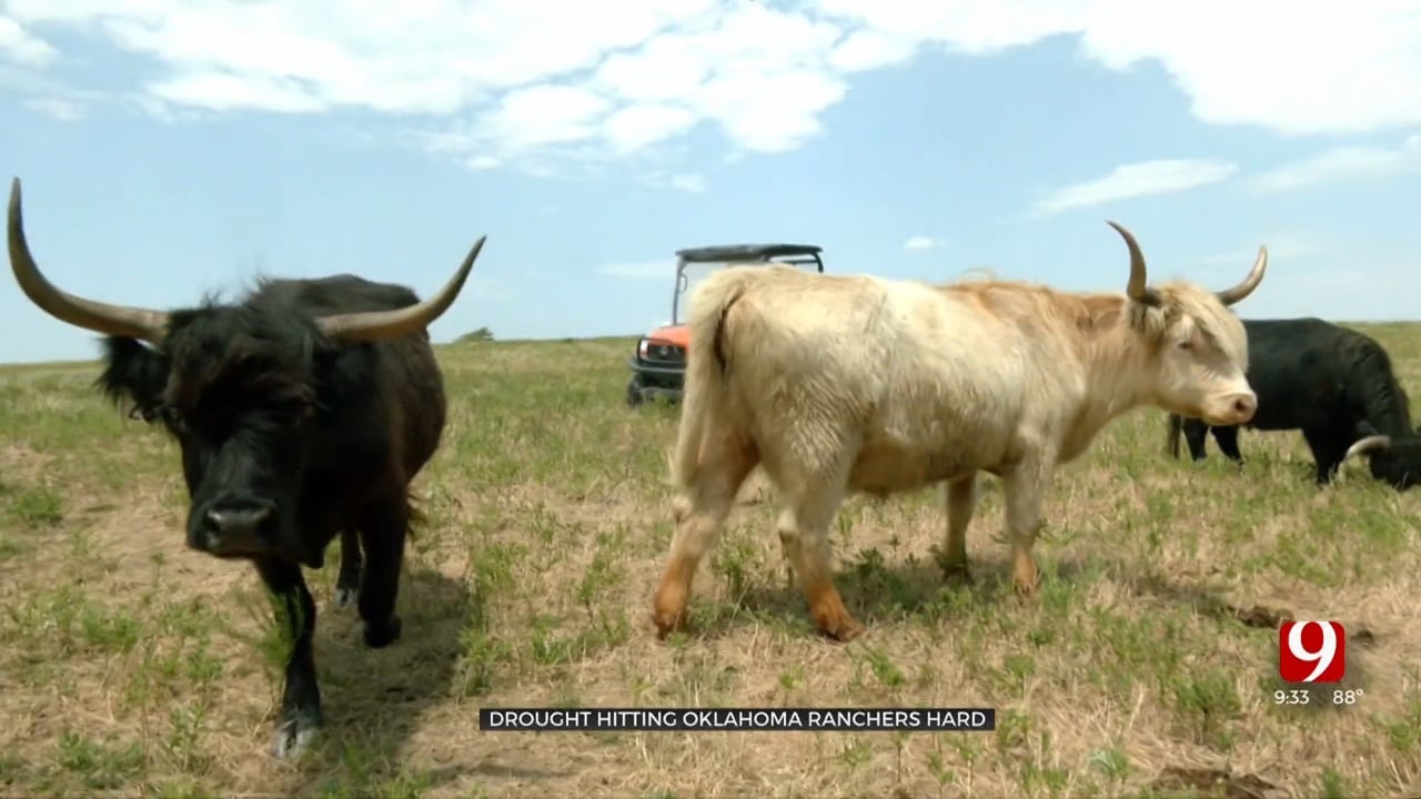 Ranchers Working To Educate Community During Drought
