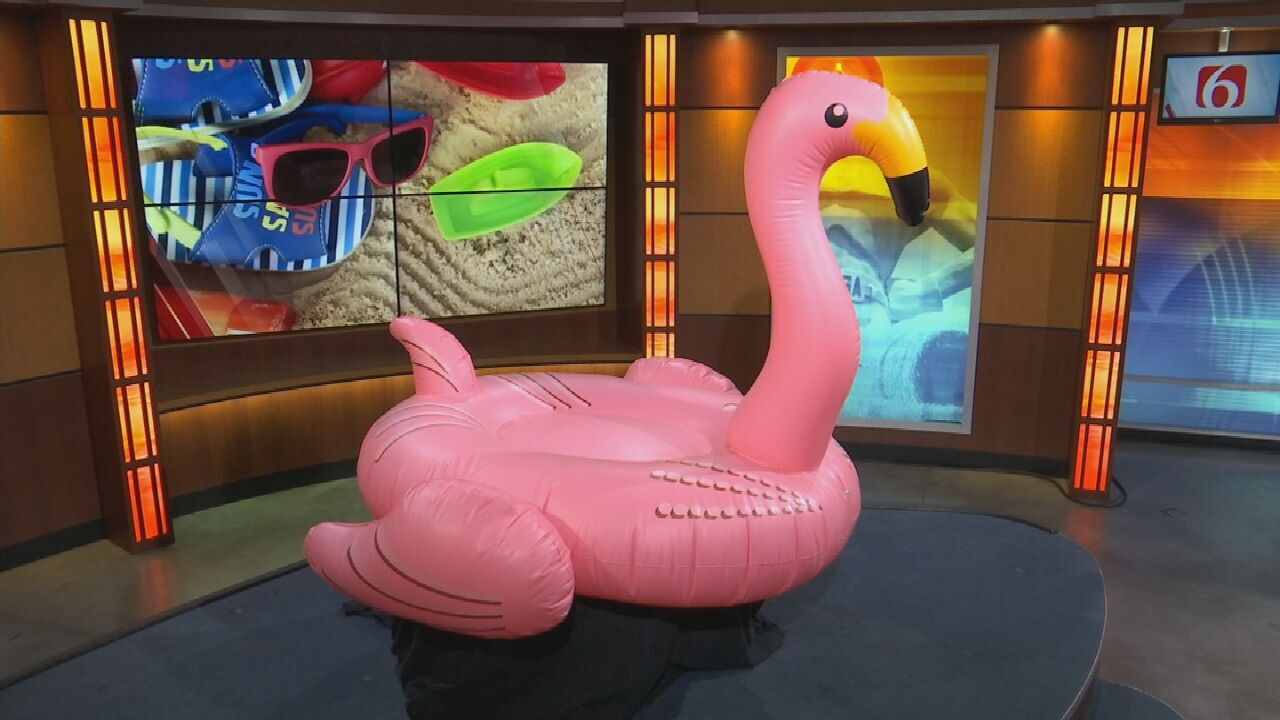 WATCH: It's National Pink Flamingo Day