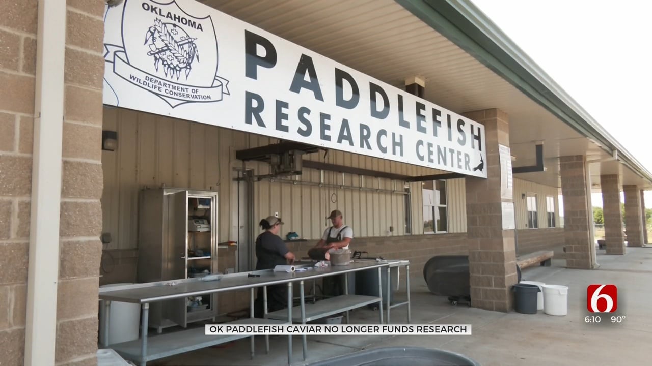 After 15 Years, ODWC No Longer Funding Paddlefish Research By Selling Caviar