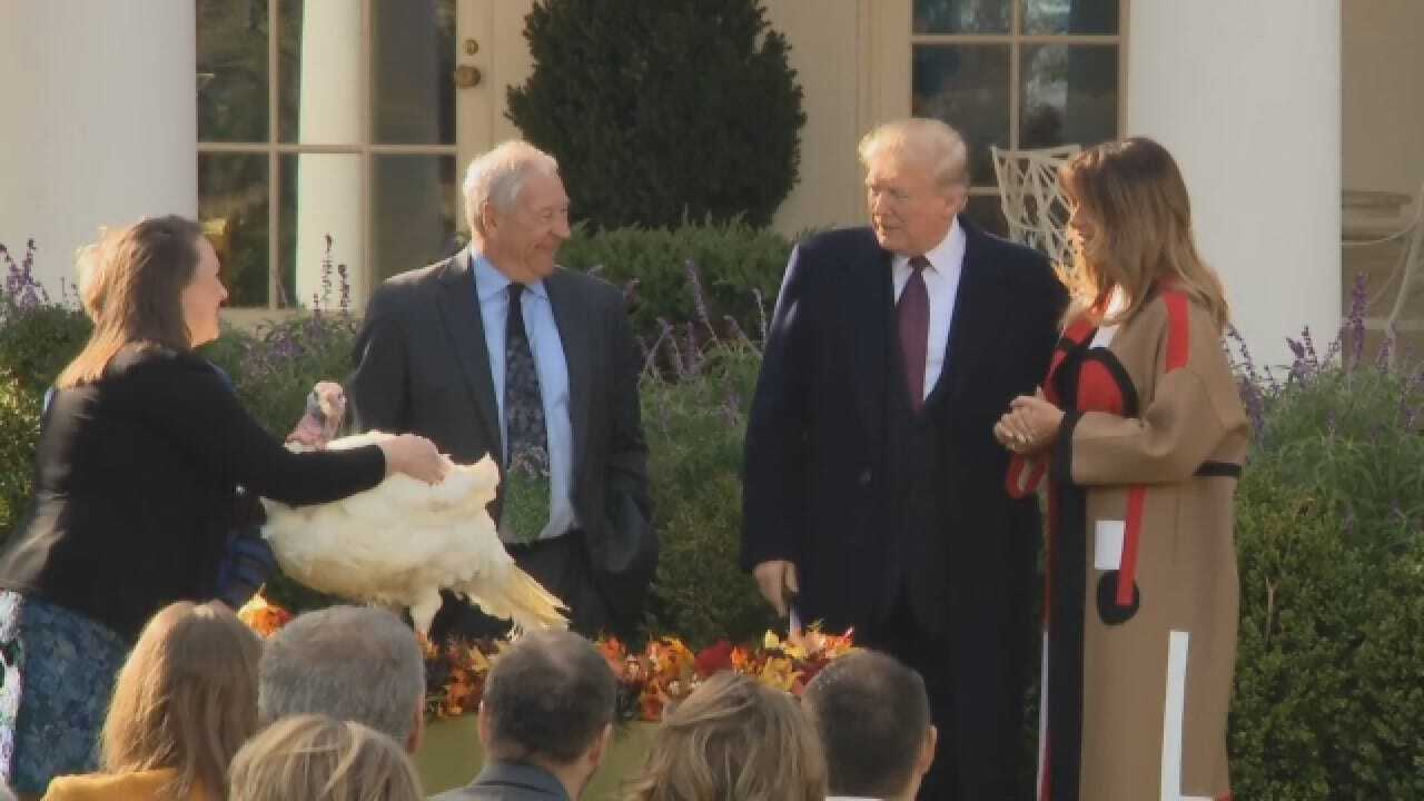 President Trump Pardons A Turkey Ahead Of Thanksgiving