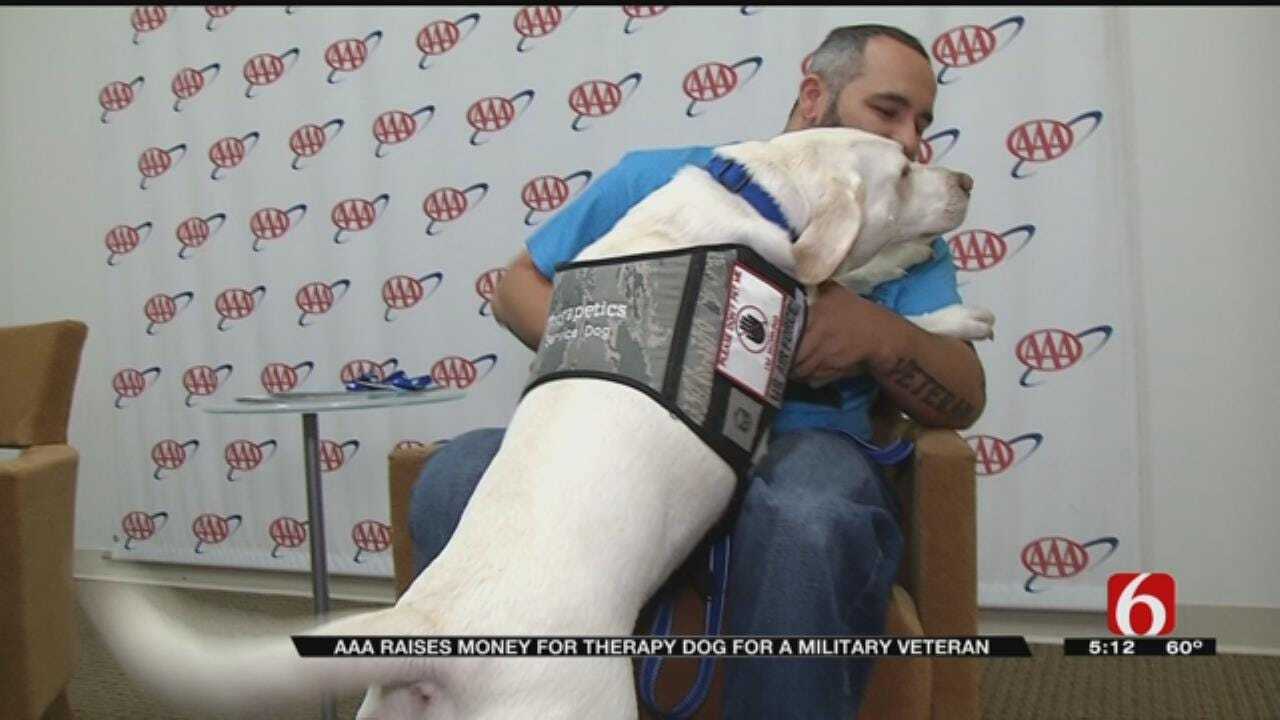 AAA Donating Money To Train Therapy Dogs For OK Veteran
