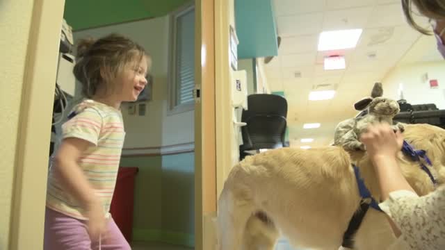 Therapy Dogs Visit Patients at Children’s National Hospital in D.C.
