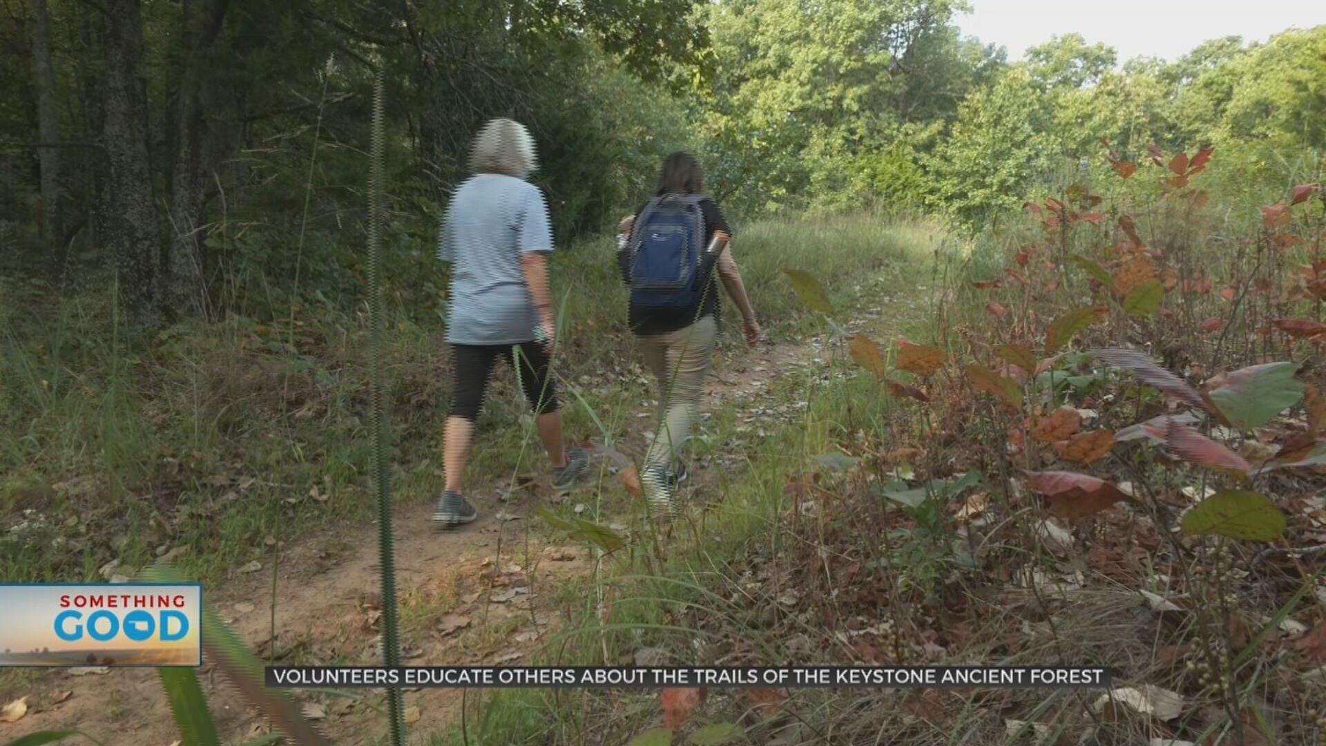 Volunteers At Ancient Forest Trails Help Visitors Step Off Beaten Path 
