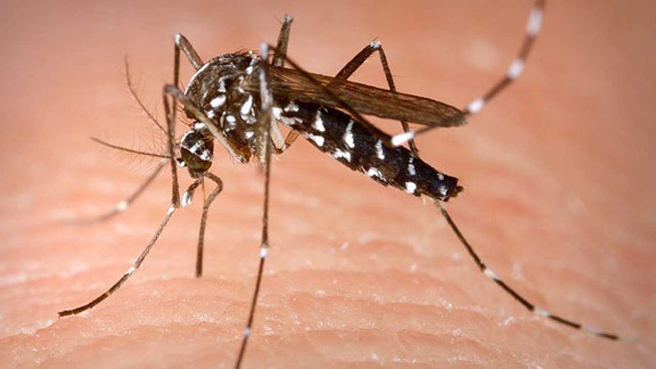 OSDH Reports First West Nile Death Of The Year