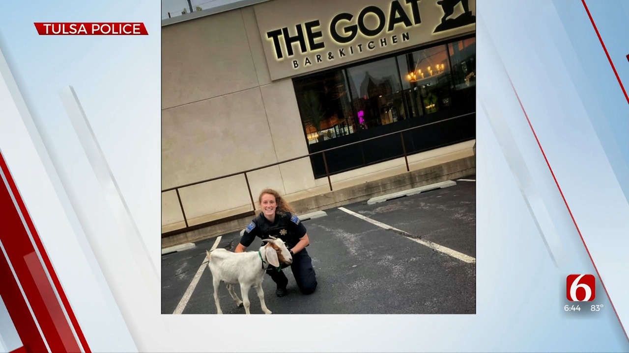 Goat Found Wandering Tulsa Near 'The Goat Bar & Kitchen' 
