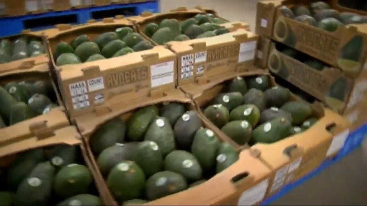 If U.S.-Mexico Border Closed, Avocados Would Soon Be Toast, For Starters