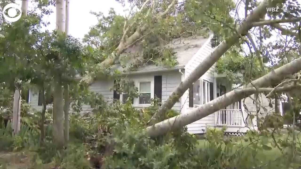WATCH: Tornado Damage In Cape Cod