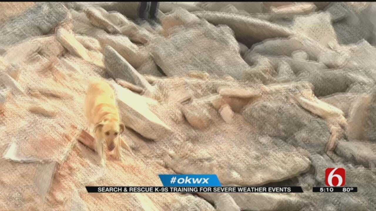 Search And Rescue K-9 Teams Ready For Severe Weather