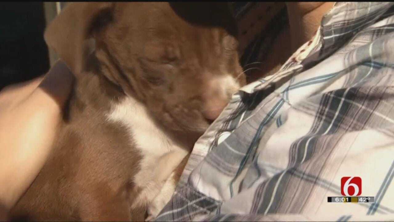 Firefighters Rescue Dog In Suspected Muskogee Arson