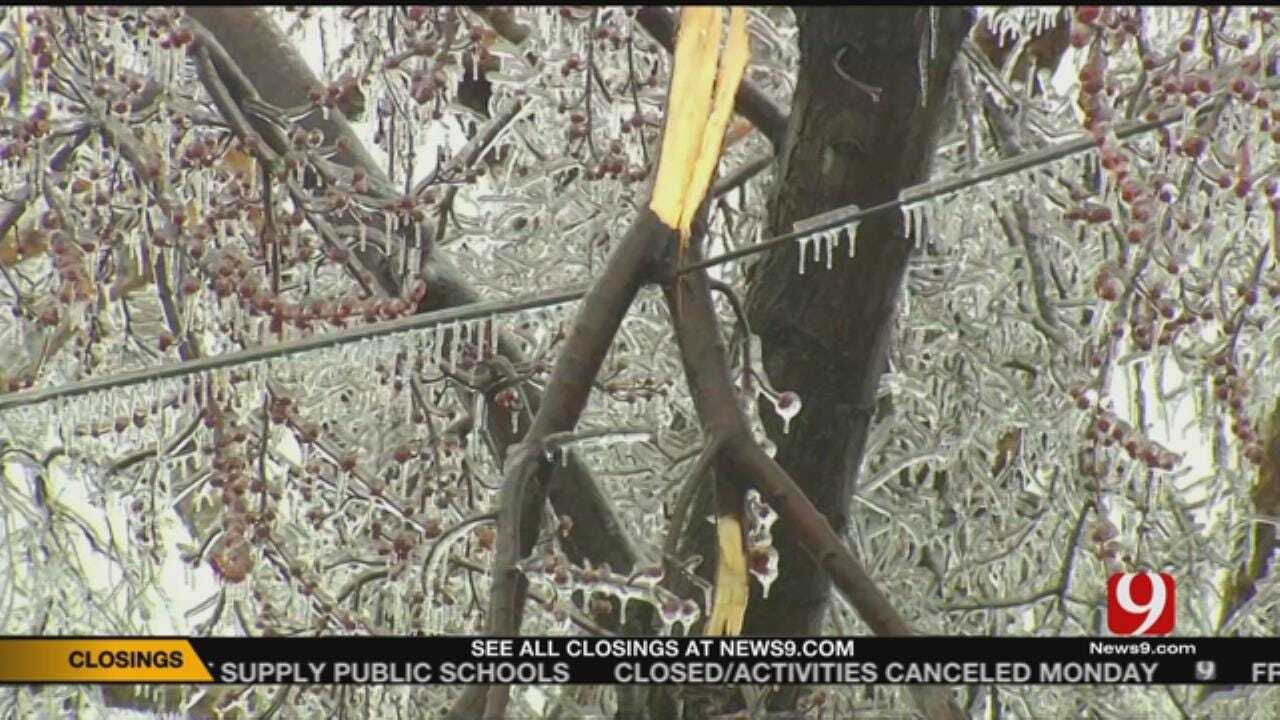 Freezing Rain Continues In NW OK Leading To Power Outages, Downed Trees