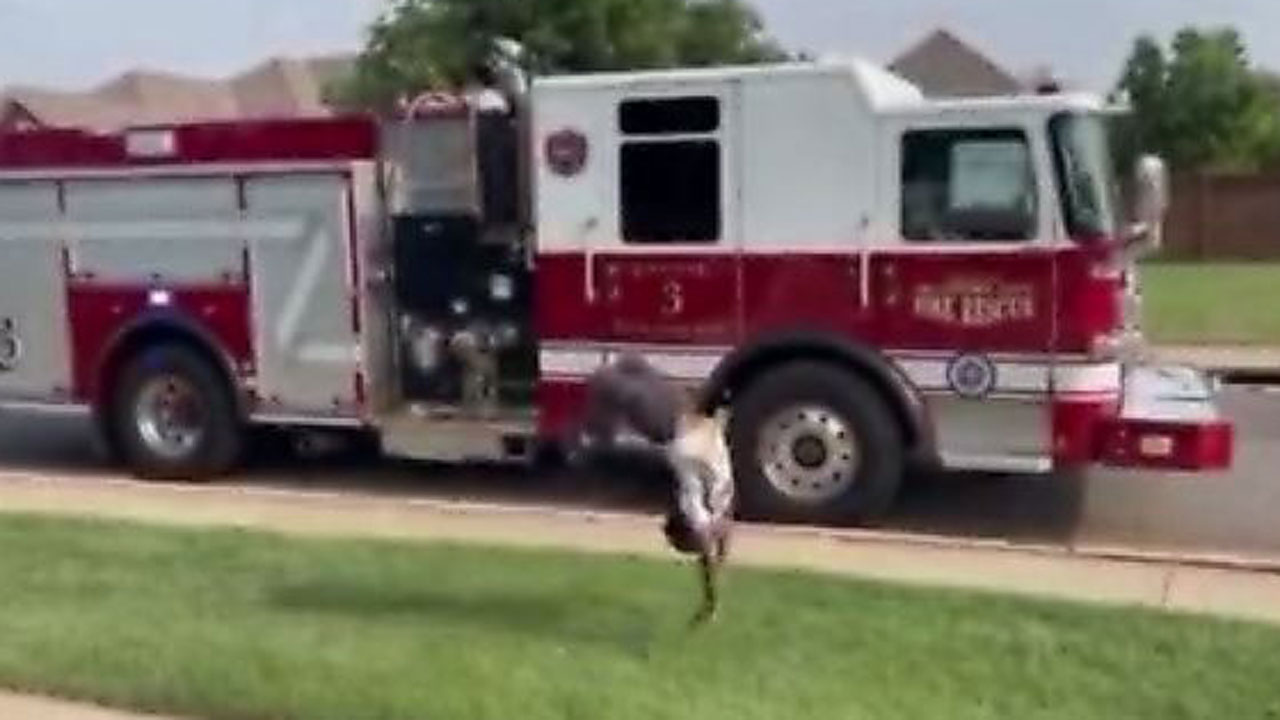 Children 'Flip Out' For Oklahoma City Firefighters 