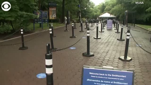 WATCH: Smithsonian's National Zoo Reopens