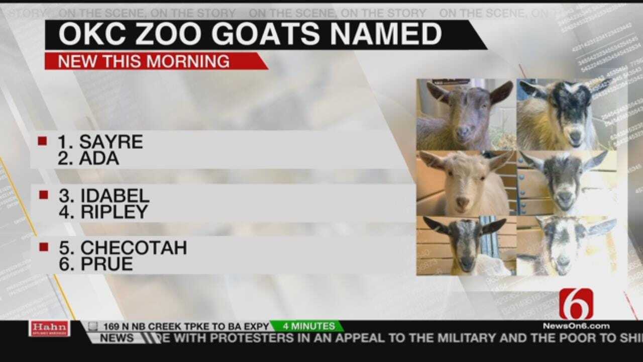 Contest Picks Names For OKC Zoo Goat