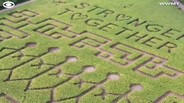 'Stronger Together': Corn Maze In Michigan Unveils Heartfelt Message 