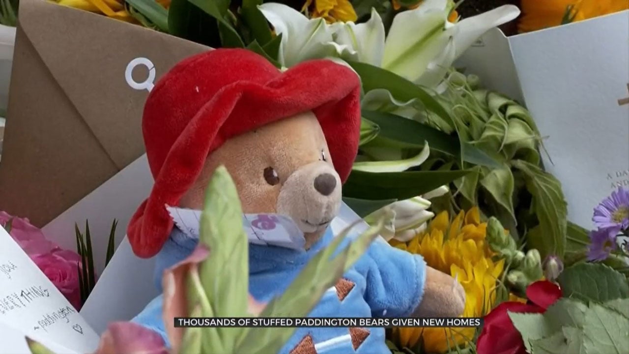 Thousands Of 'Paddington' Bears Passed On To New Homes
