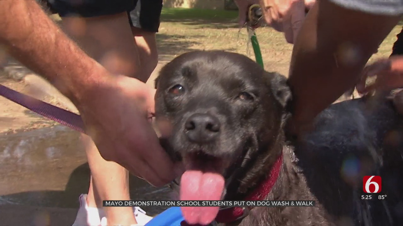 Tulsa 3rd Graders Put On Dog Wash & Walk, Taking Learning Outside The Classroom 
