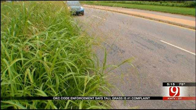 OKC Getting Huge Number Of Tall Grass Complaints