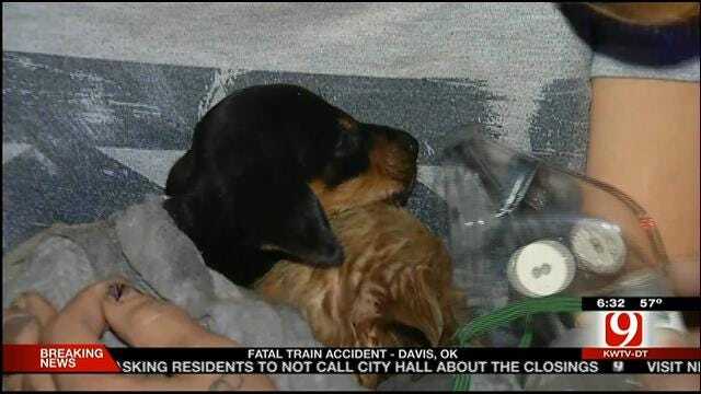 Man Injured, Puppies Killed In SW OKC House Fire