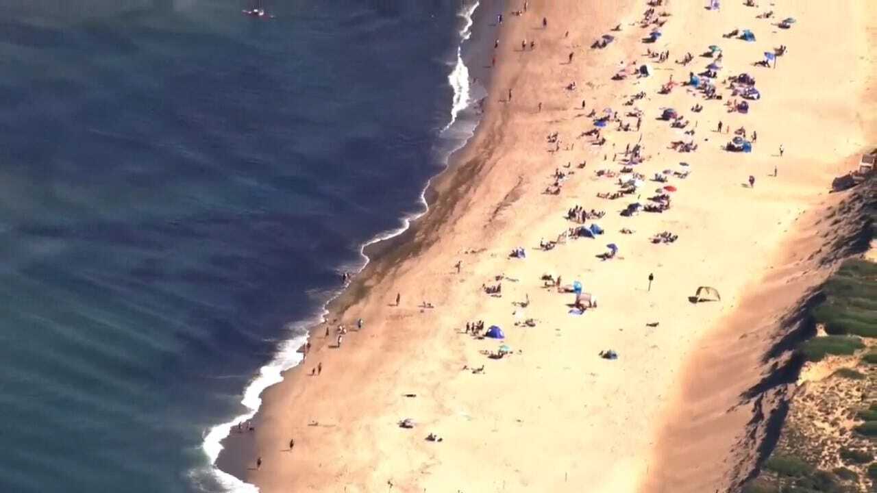 11 Great White Sharks Spotted Off Cape Cod Ahead Of July 4th Holiday