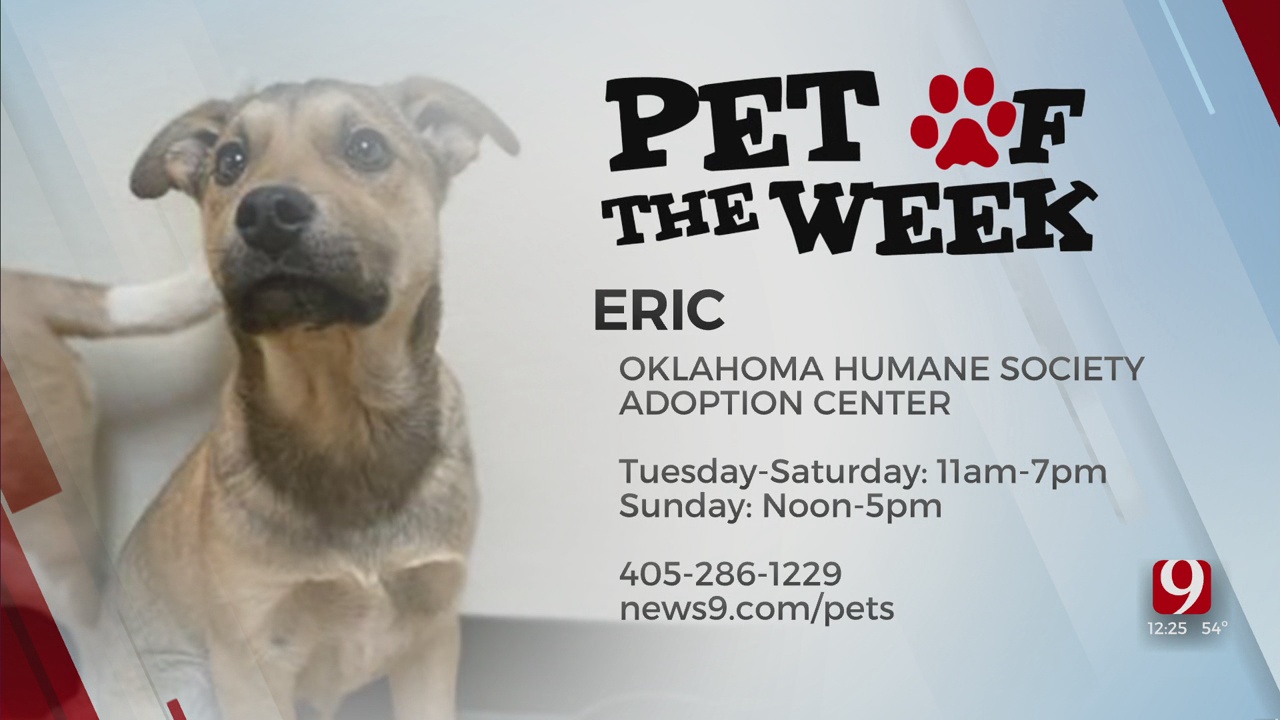 Pet Of The Week: Eric