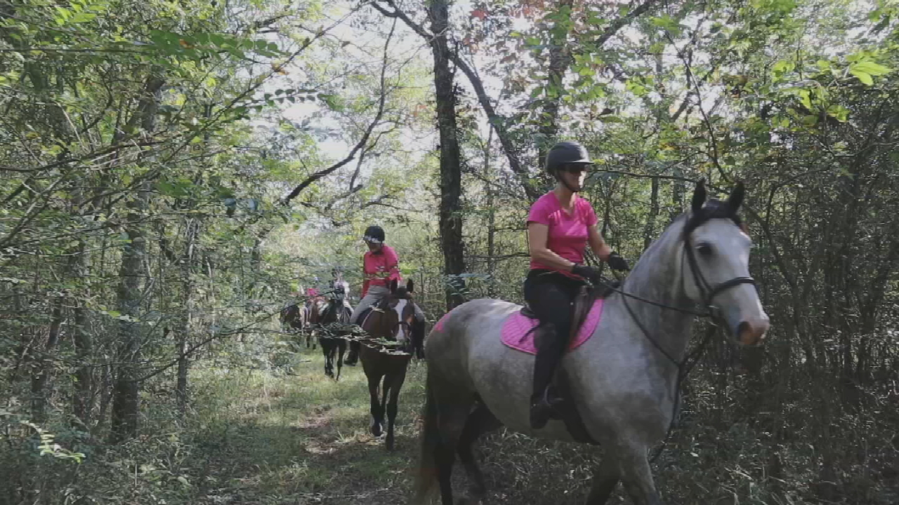 Harvard Hunt Club Holds 6th Annual Ride For The Cure