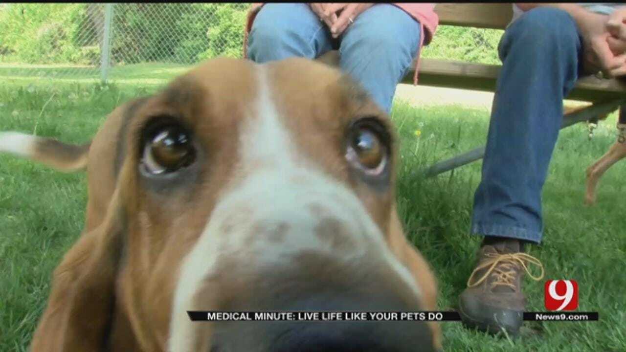 Medical Minute: Live Like Your Pets Do