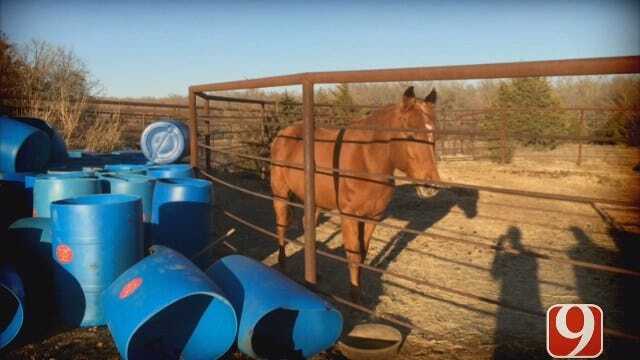 WEB EXTRA: Horse Safe After Grady County Grass Fire