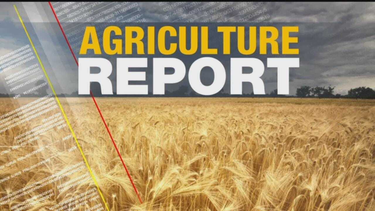 Ag Report: May 16, 2017