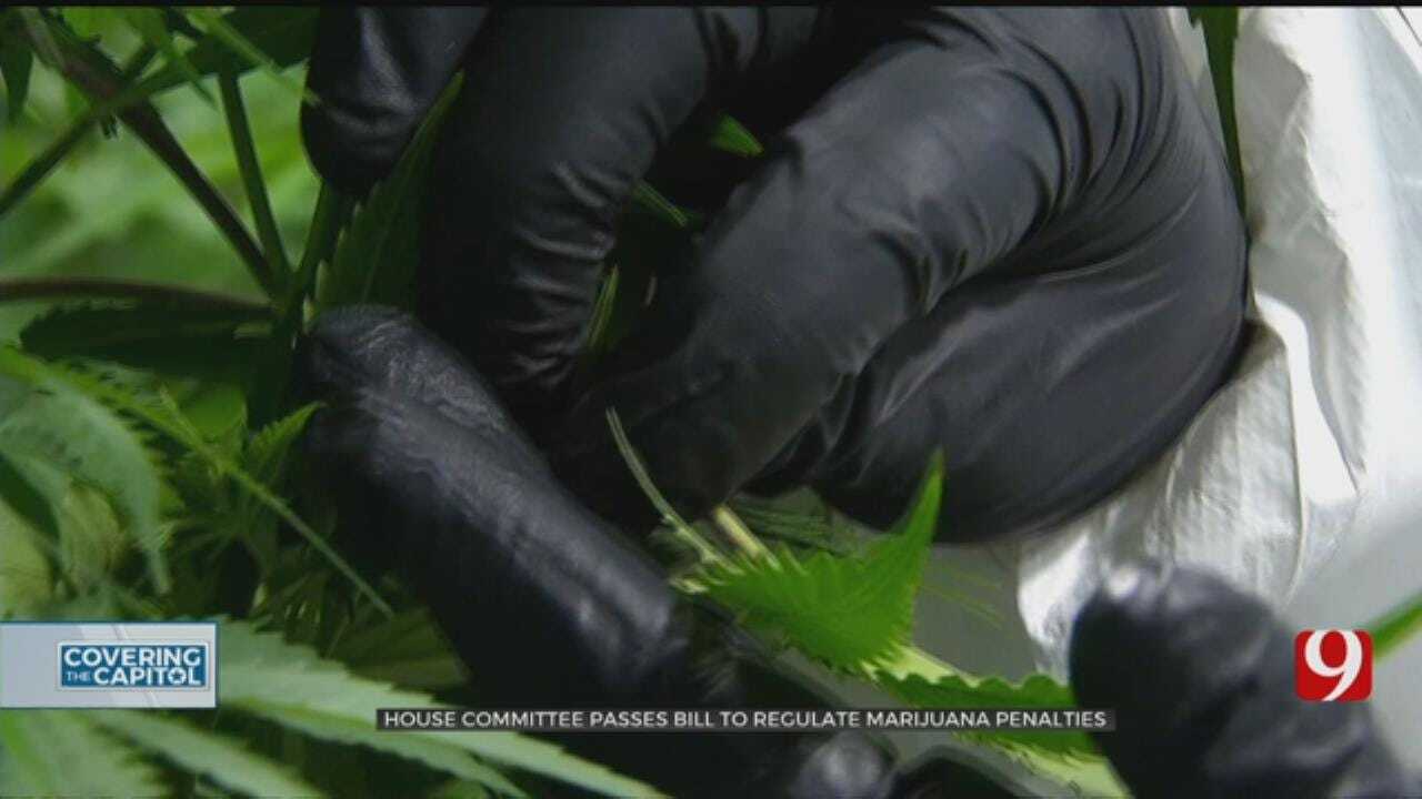 House Committee Passes Bill To Regulate Penalties Concerning Marijuana Possession