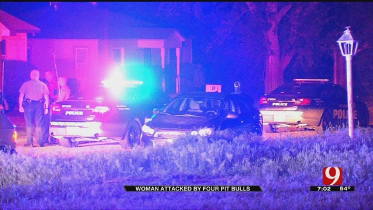 Dog Mauling In NE OKC Leaves Woman In Critical Condition