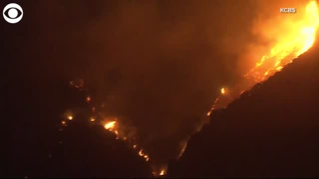 Watch: The Bobcat Fire Burns More Than 11,000 Acres, Closes Angeles Nation Forest