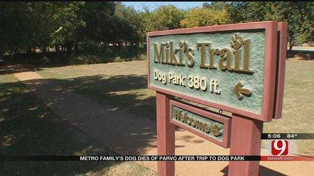 Metro Dog Dies From Parvo After Dog Park Visit
